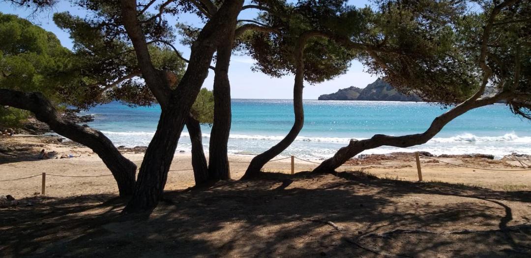 Photo of Outdoor in Son Servera