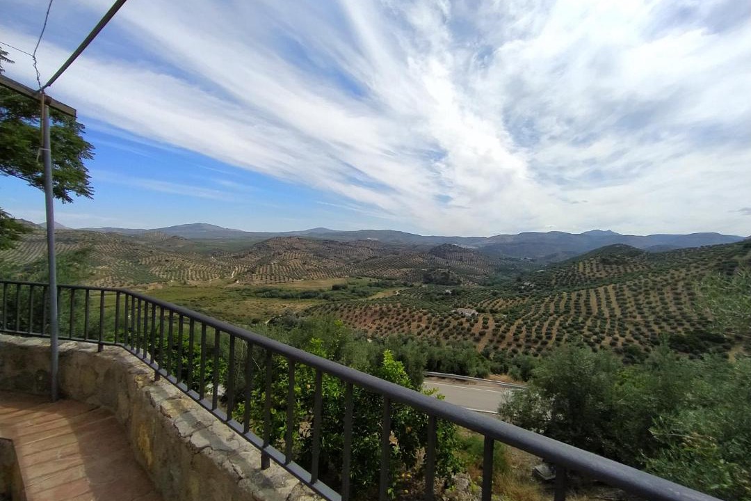 Photo of Others in Martos