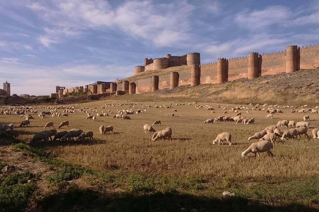 Photo of Others in Berlanga de Duero