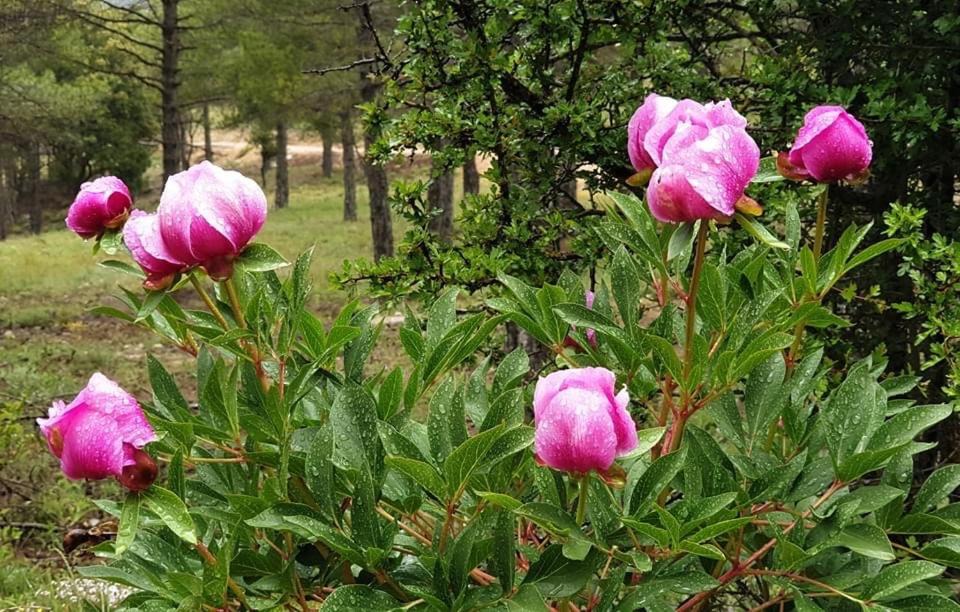 Photo of Outdoor in Puebla de Don Fadrique