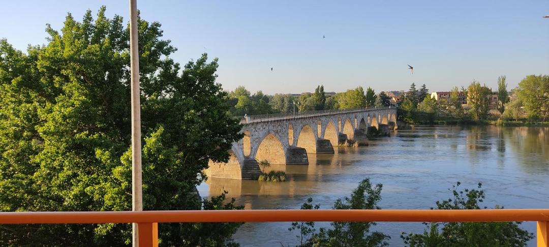 Photo of Others in Zamora