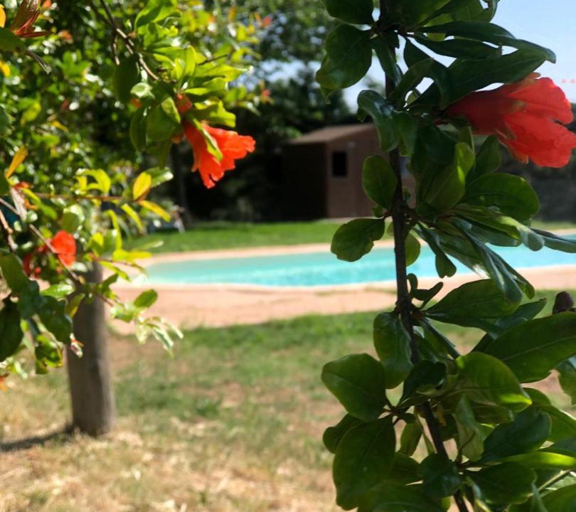Photo of Outdoor in Caldes de Malavella