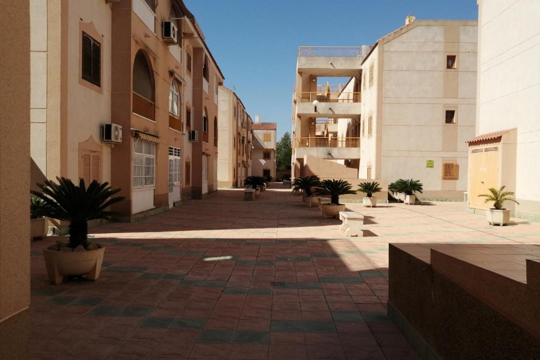 Photo of Buildings in Torrevieja