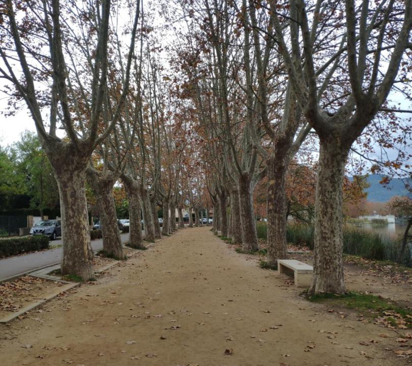 Photo of Others in Banyoles