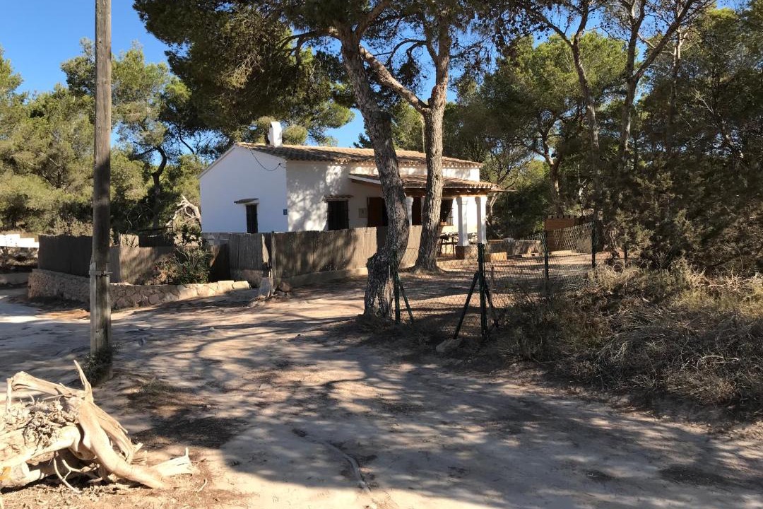 Photo of Others in Sant Francesc Xavier