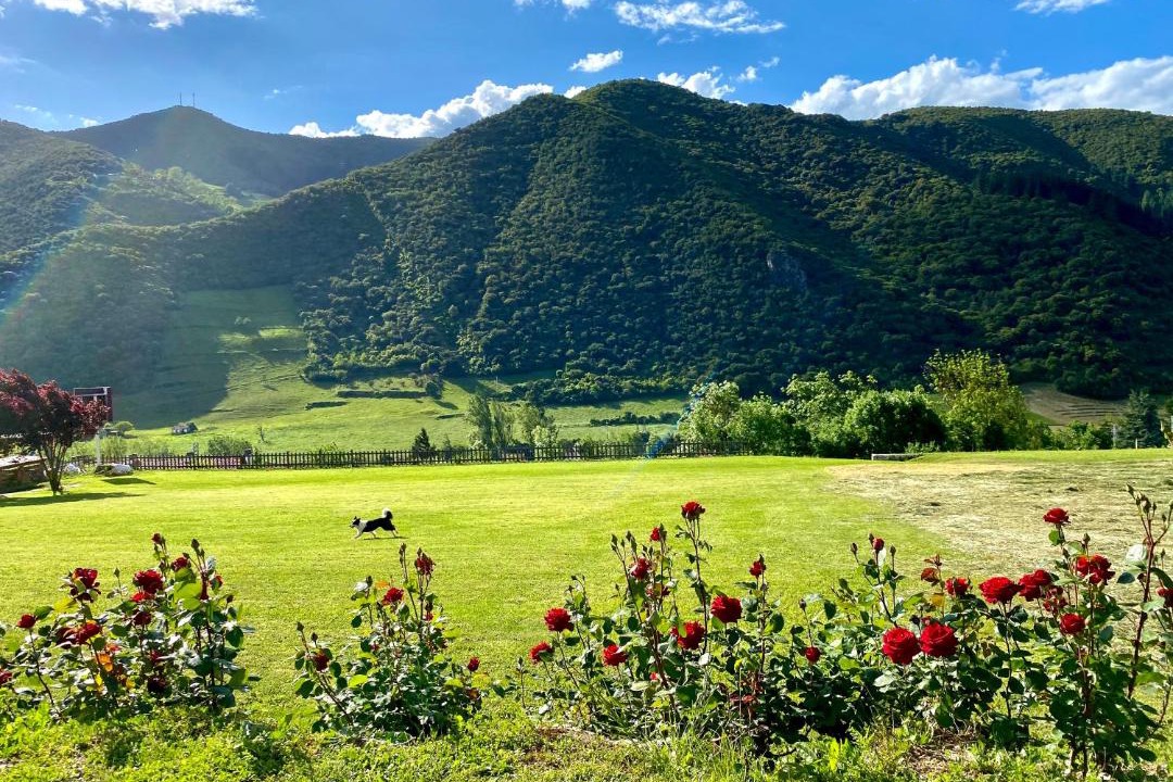 Photo of Outdoor in Ojedo