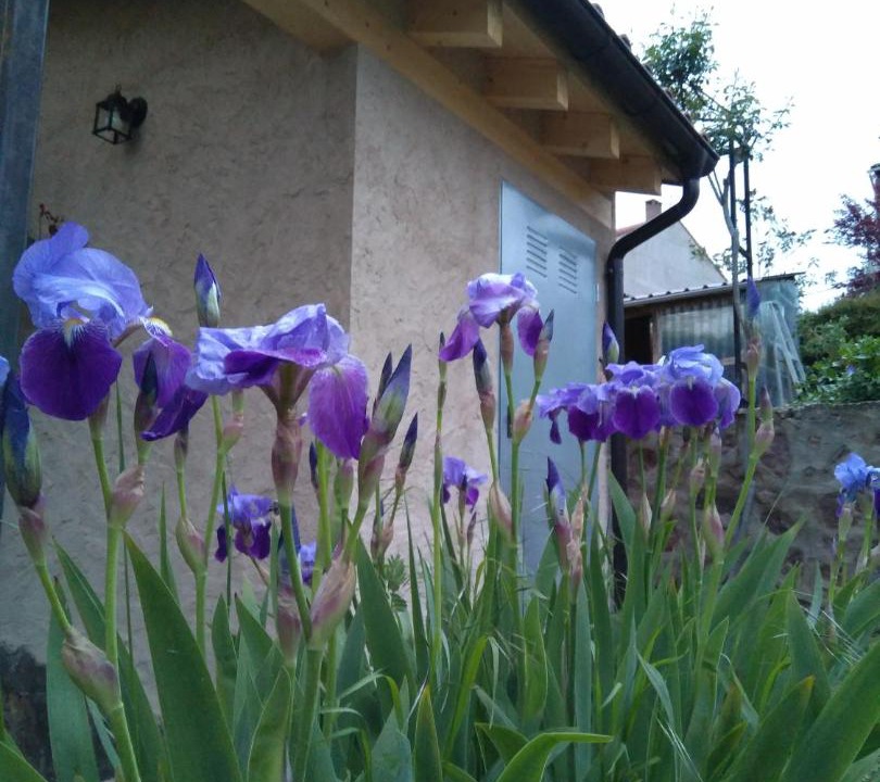 Photo of Others in El Rasillo de Cameros