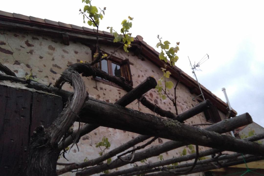 Photo of Others in El Rasillo de Cameros