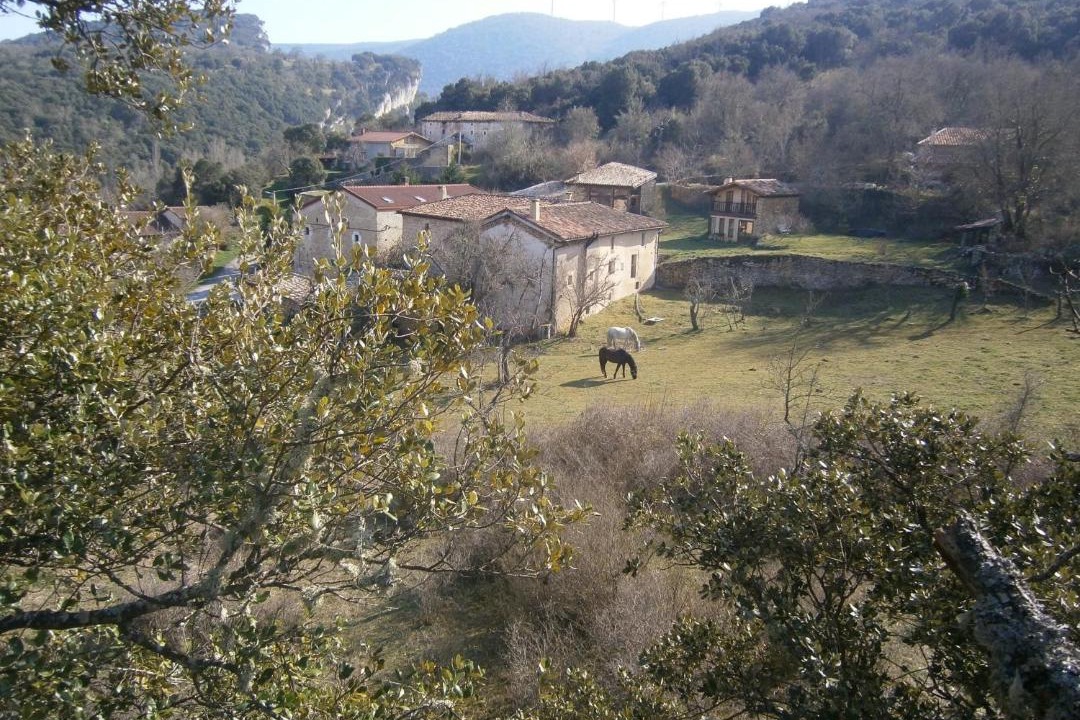 Photo of Others in Nela