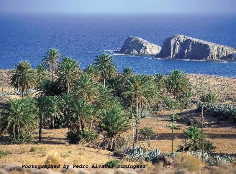 Photo of Others in La Isleta del Moro