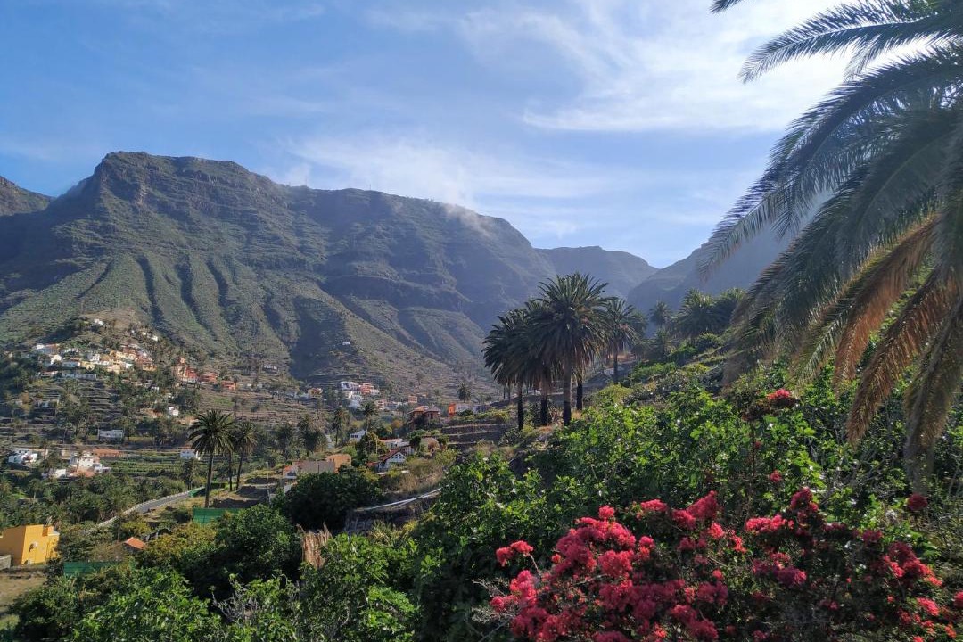 Photo of Others in Valle Gran Rey