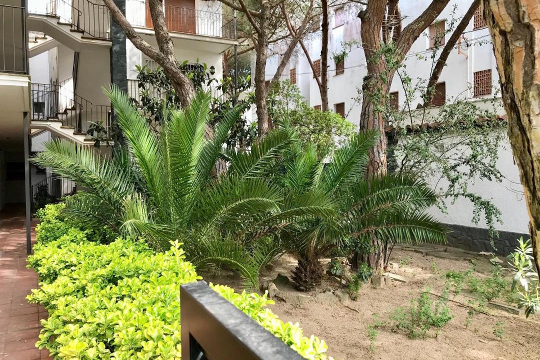 Photo of Buildings in Platja d'Aro
