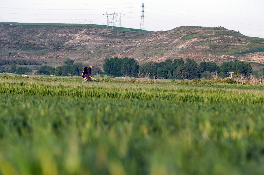 Photo of Others in Tardajos