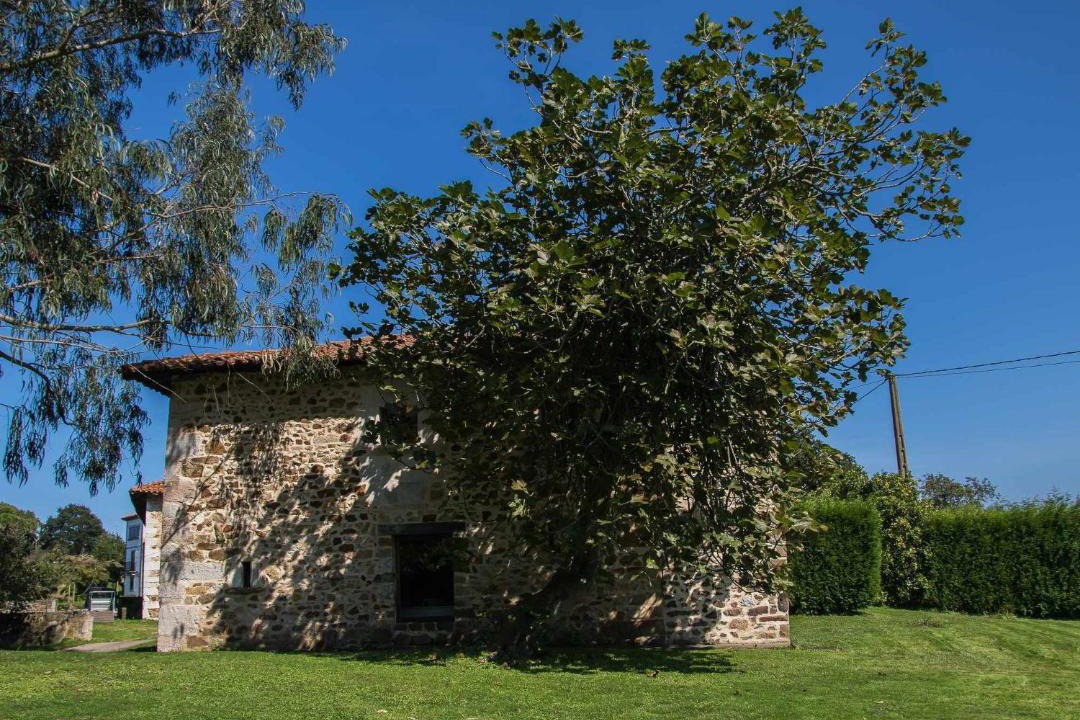 Photo of Buildings in Prado