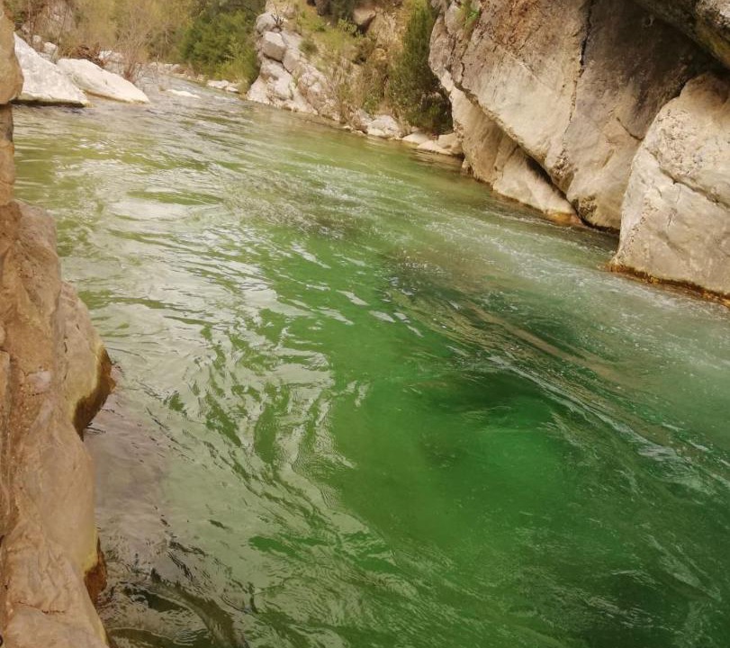 Photo of Others in Arroyo Frio
