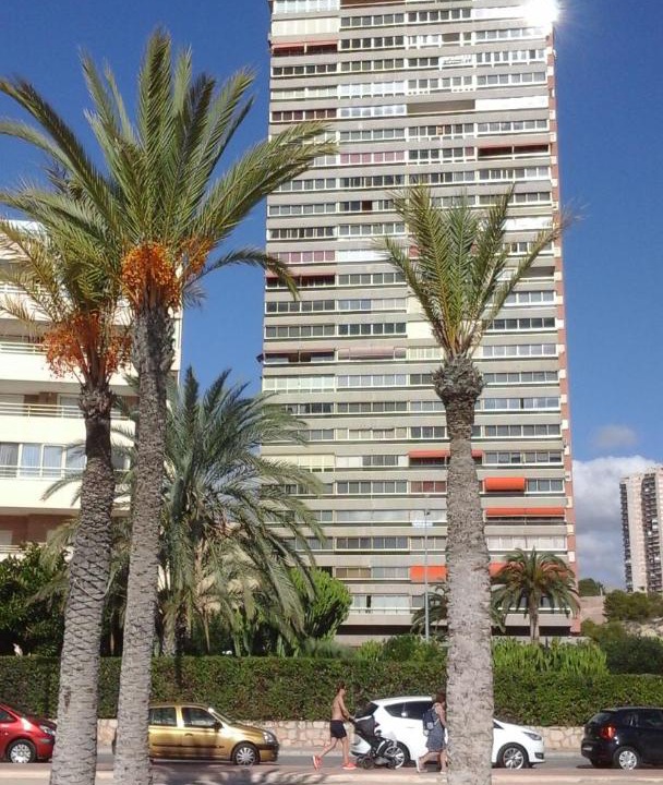 Photo of Others in Cala