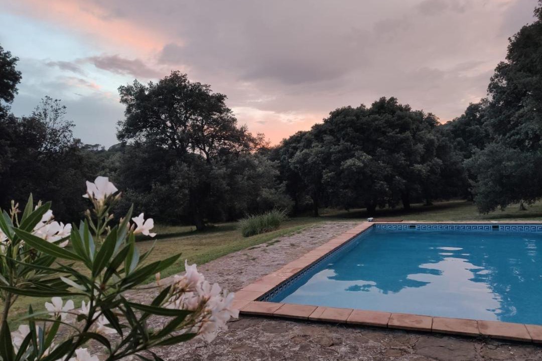 Photo of Outdoor in Sant Aniol de Finestres