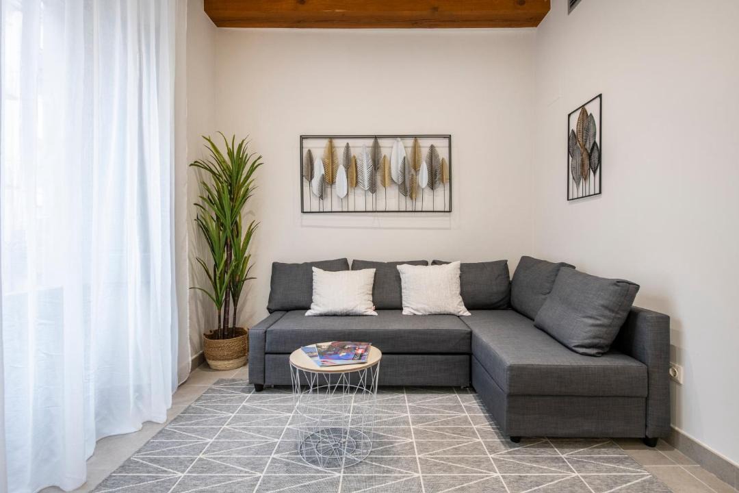 Photo of Livingroom in Banyoles