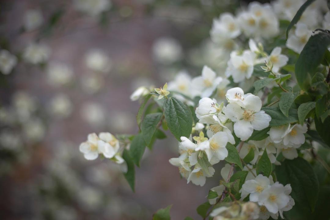 Photo of Outdoor in Carucedo
