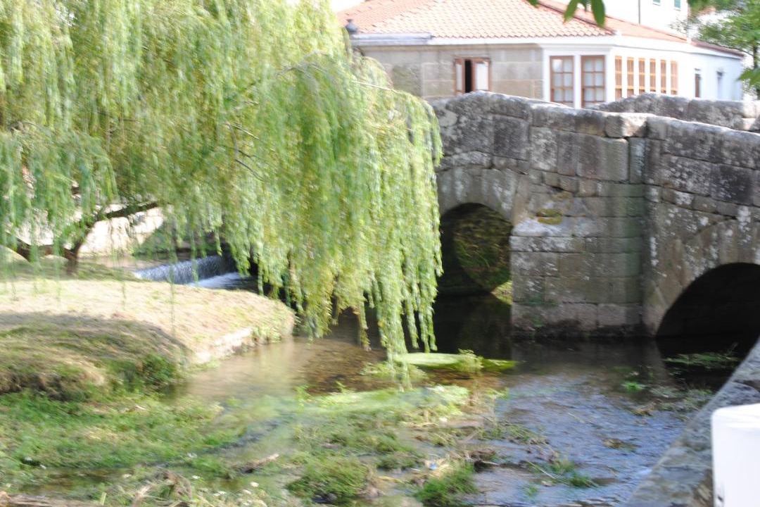Photo of Others in Caldas de Reis