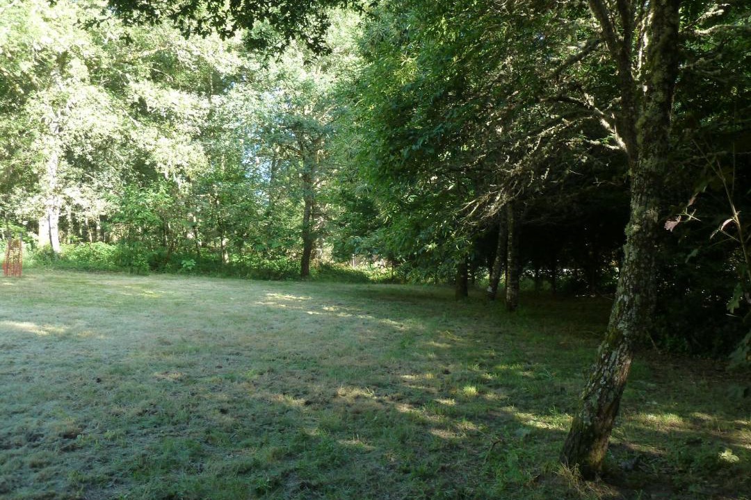 Photo of Outdoor in Villalba