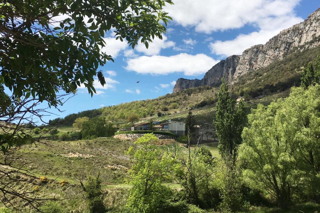 Photo of Others in Coll de Nargo