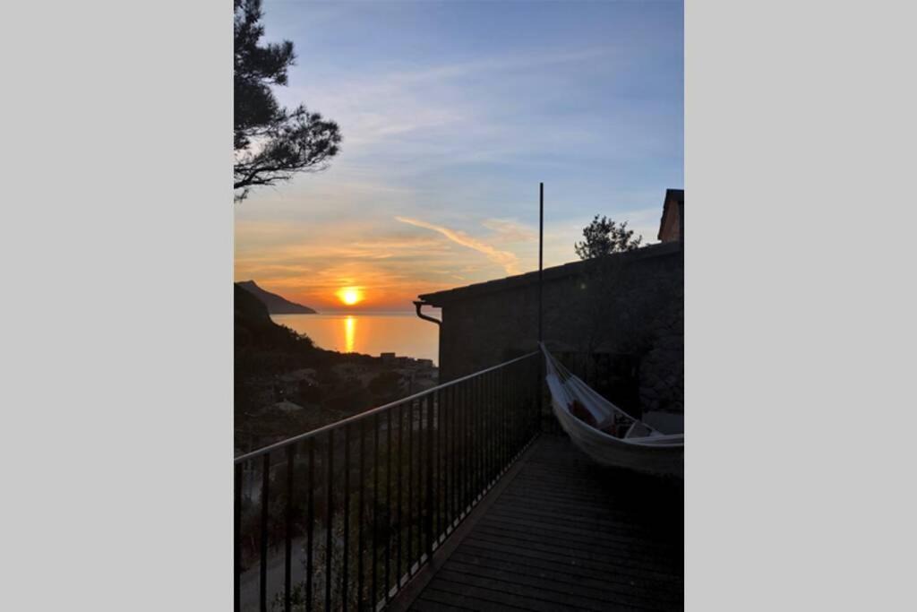 Photo of Others in Valldemossa
