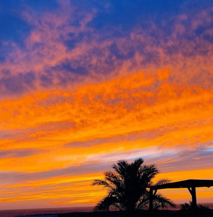 Photo of Outdoor in Los Escullos