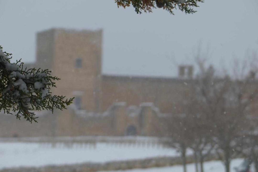 Photo of Others in Pedraza