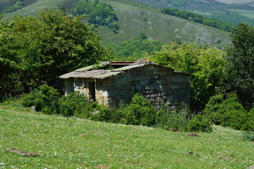 Photo of Others in Fontibre