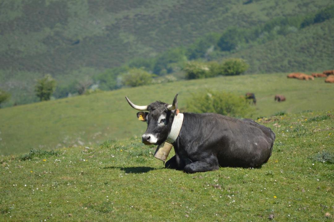 Photo of Others in Fontibre