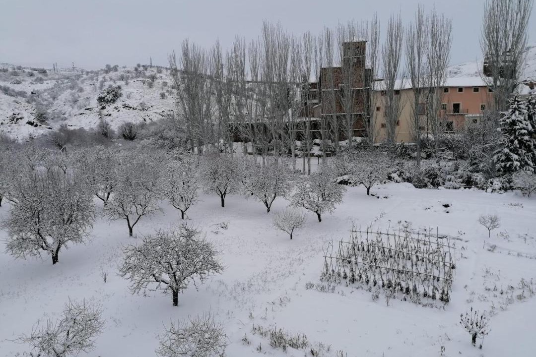 Photo of Others in Castejon de las Armas