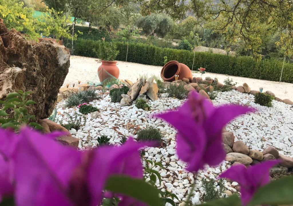 Photo of Outdoor in La Iruela