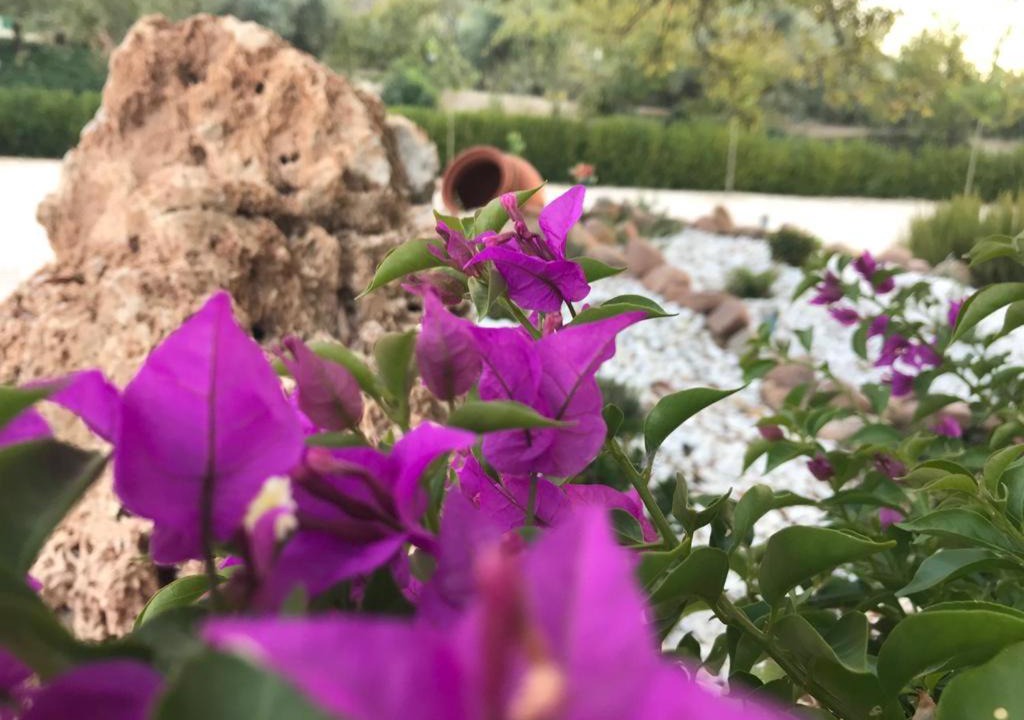 Photo of Outdoor in La Iruela