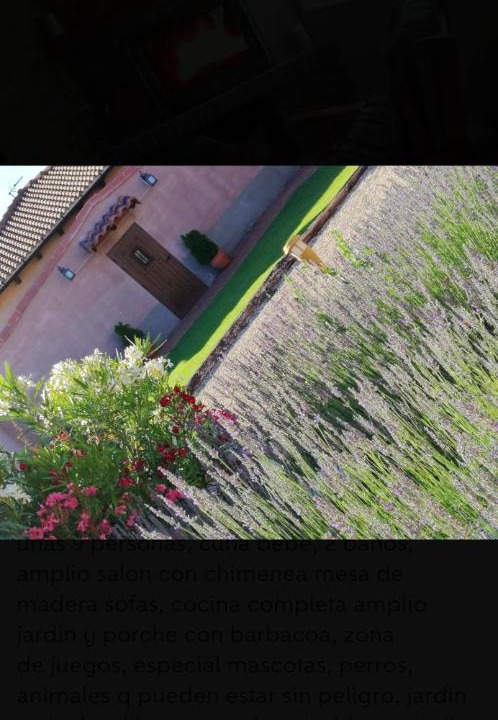 Photo of Others in Peral de Arlanza