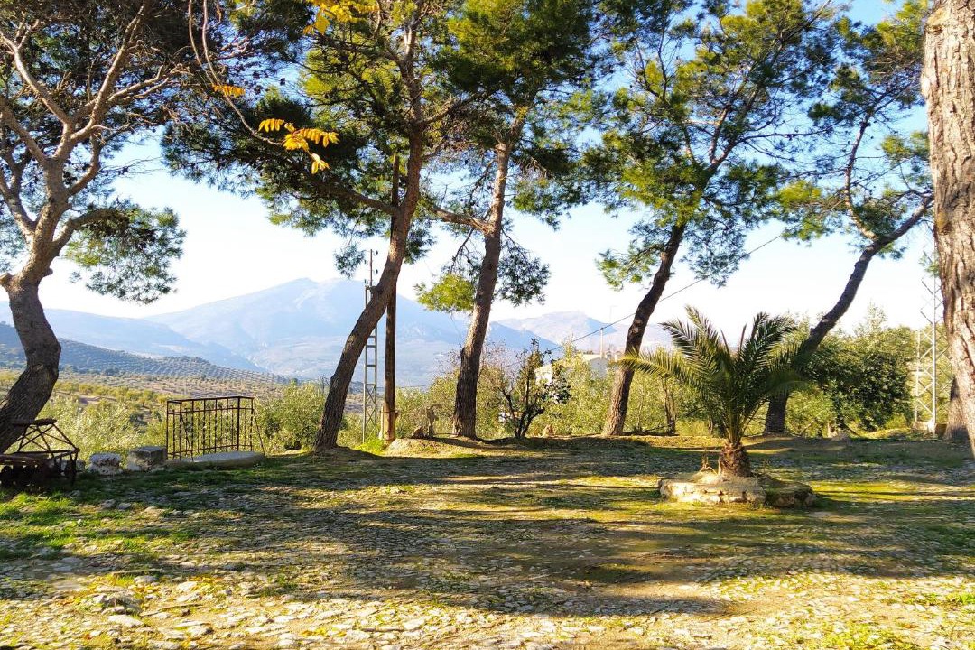 Photo of Outdoor in Jaen
