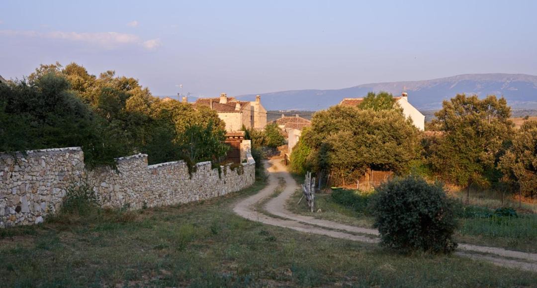 Photo of Outdoor in Requijada