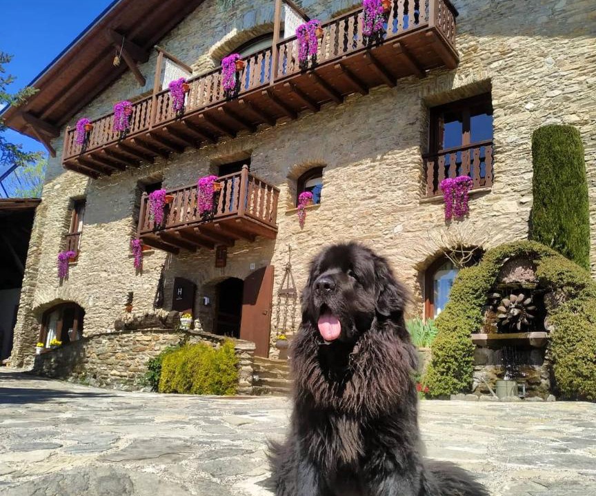 Photo of Others in Montferrer I Castellbo