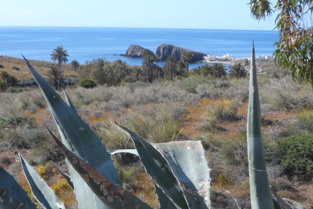 Photo of Others in Las Negras