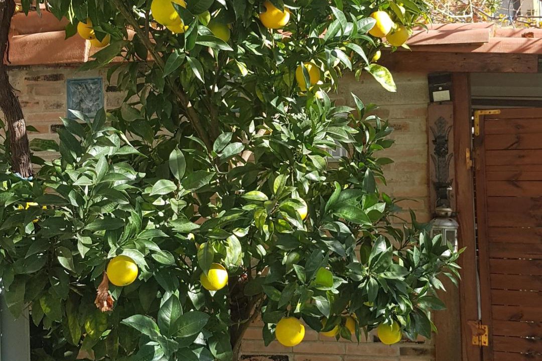 Photo of Others in Cangas del Narcea Municipality