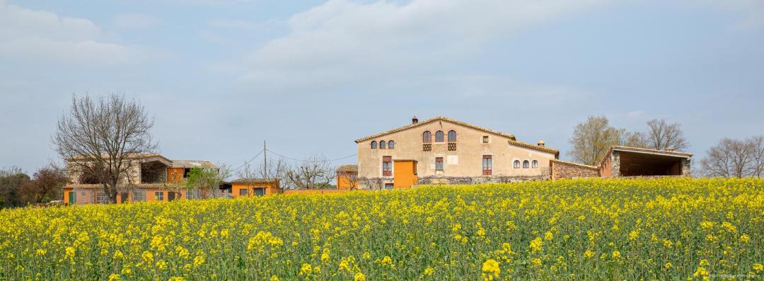 Photo of Buildings in Caldes de Malavella