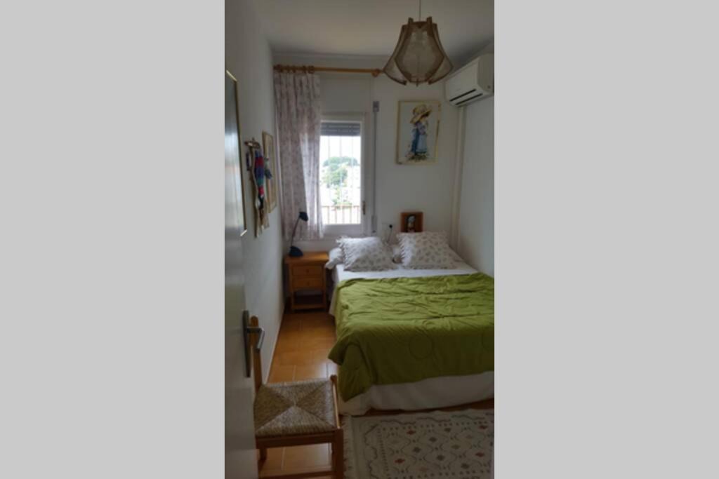 Photo of Others in Almadraba-Canyelles