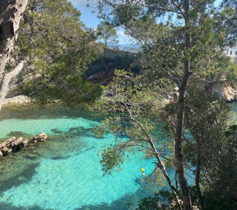 Photo of Outdoor in Peguera
