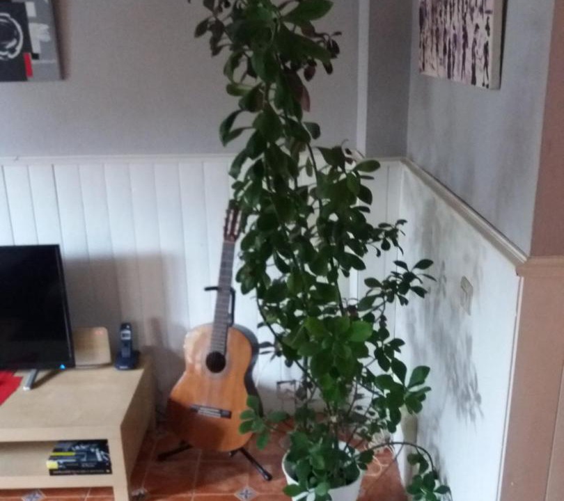 Photo of Livingroom in San Cristobal de La Laguna