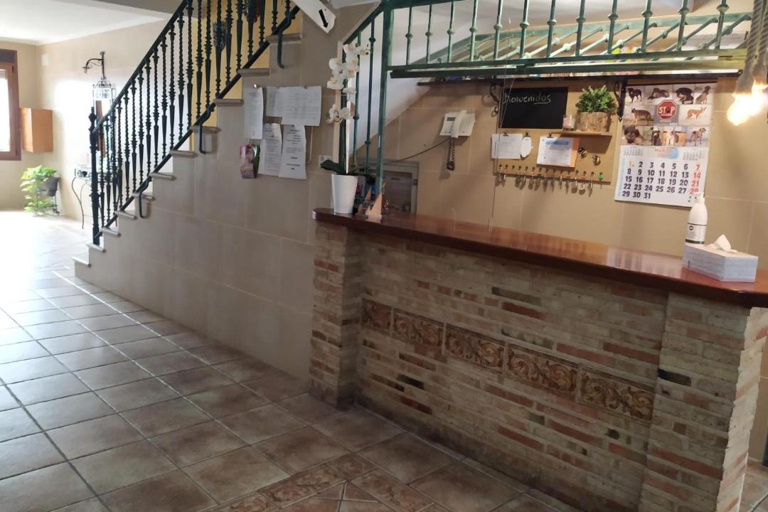 Photo of Others in Almagro