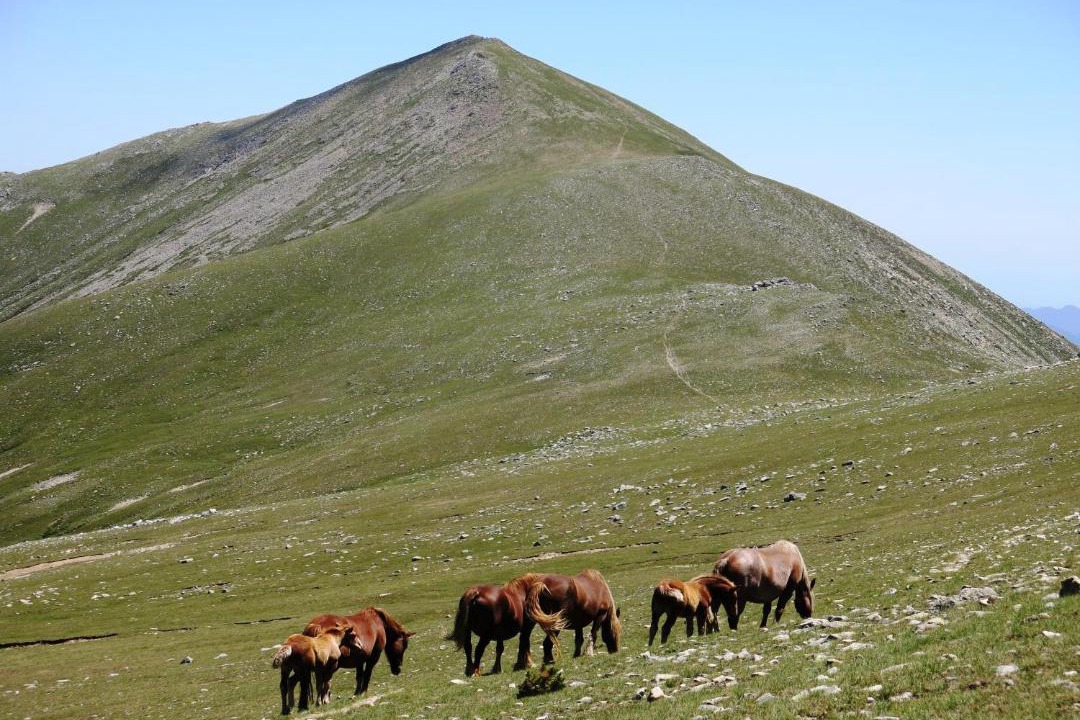 Photo of Others in Espinavell