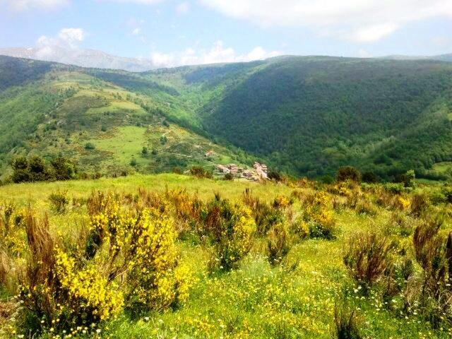 Photo of Others in Espinavell