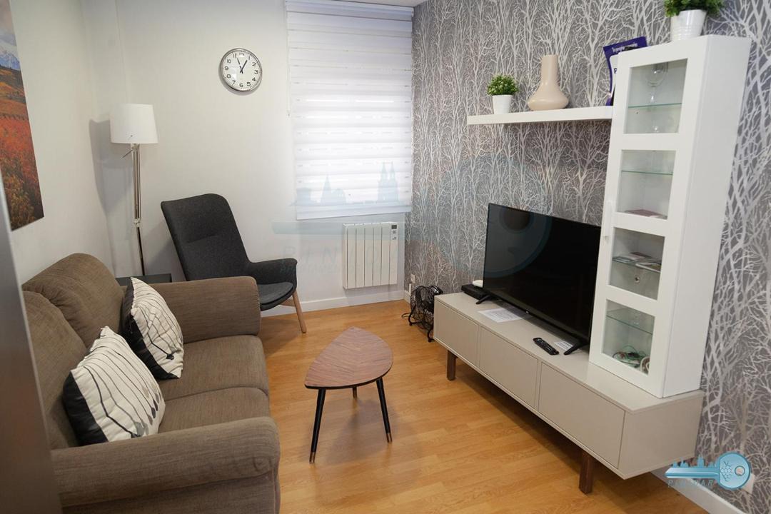 Photo of Livingroom in Logrono City Centre