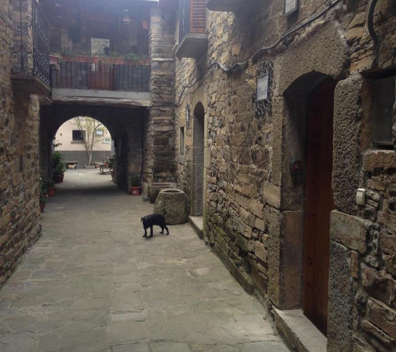 Photo of Others in El Pueyo de Araguas