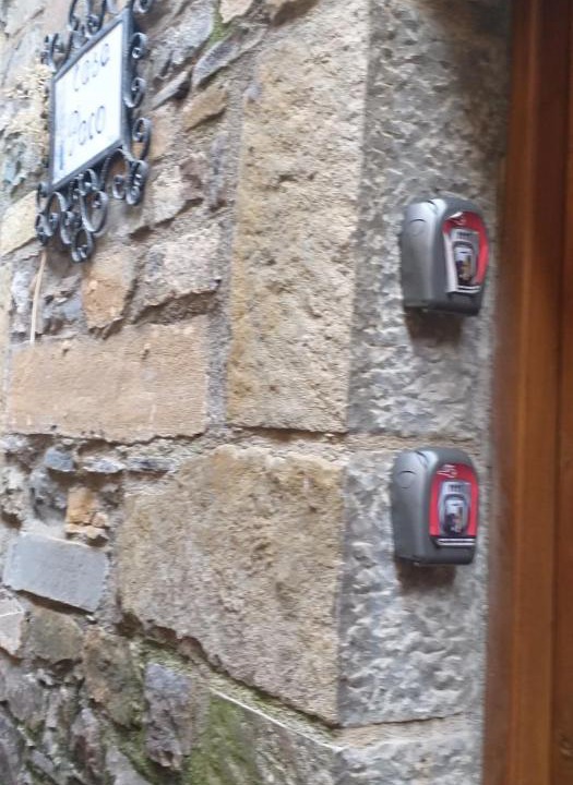 Photo of Others in El Pueyo de Araguas